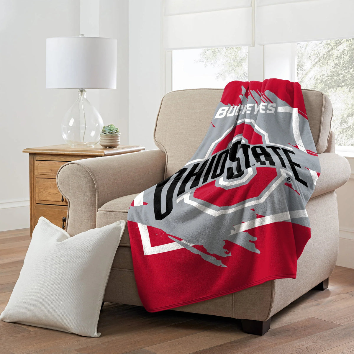 South Carolina Gamecocks 46 x 60 Plush Throw Blanket C357316