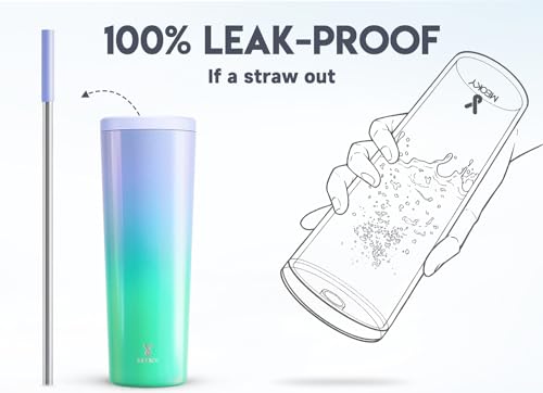 24 oz Insulated Stainless Steel Tumbler with Lid and Straw X9909