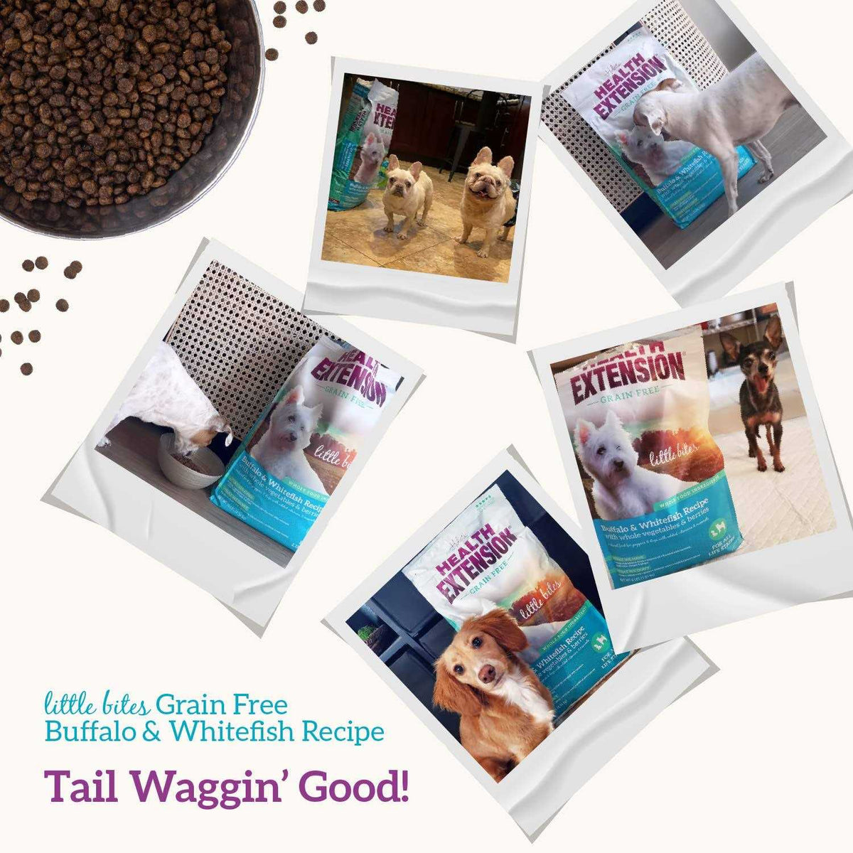 Grain Free Buffalo & Whitefish Dry Dog Food N659
