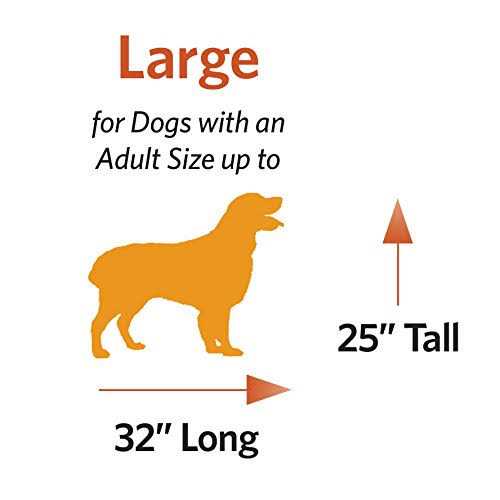Door Dog Crate O825