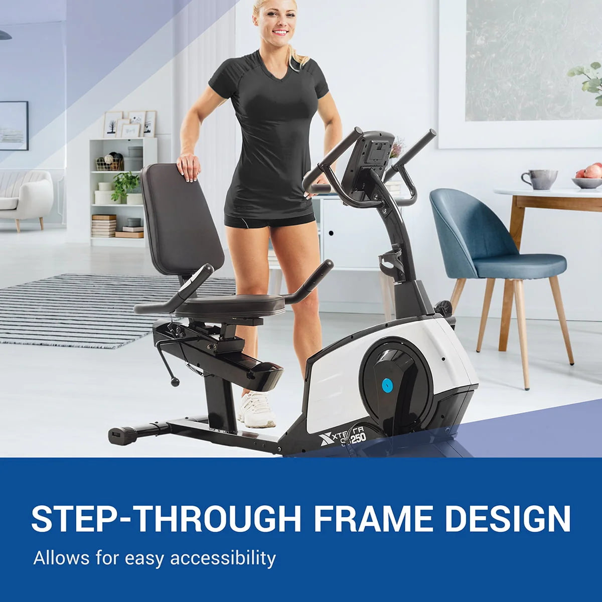 Recumbent Bike I846