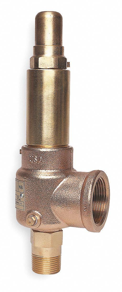 Pop Safety Valve, 3/4 x 1-1/4In, 200Psi S284