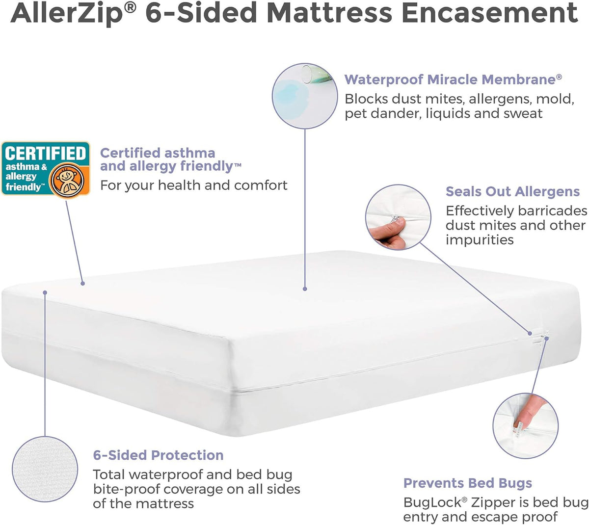 White Queen 6in Mattress Encasement K603