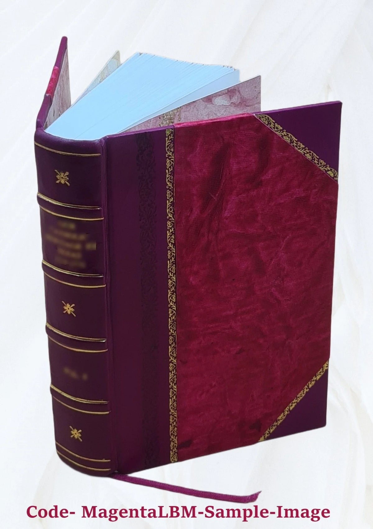 Westward ho! or, The voyages and adventures of Sir Amyas Leigh, knight of Burrough, in the county of Devon, in the reign of Her Most Glorious Majesty, Queen Elizabeth, rendered int P6482