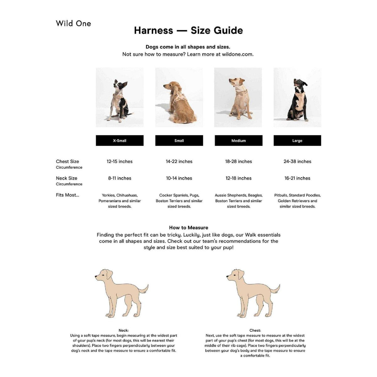 Dog Harness Z130876