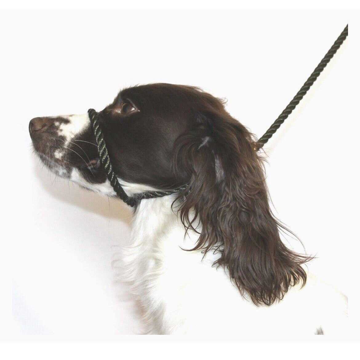 Anti Pull Dog Leash Halter Head Collar One Size Fits All Z80530