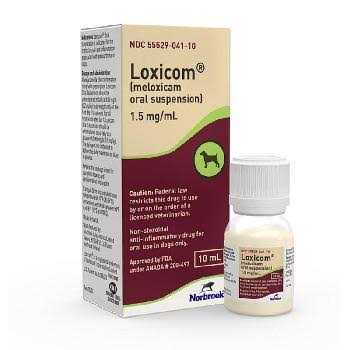 Meloxicam for Dogs V374306