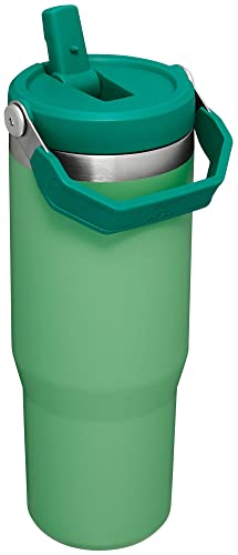 Stainless Steel Vacuum Insulated Tumbler with Straw A32817