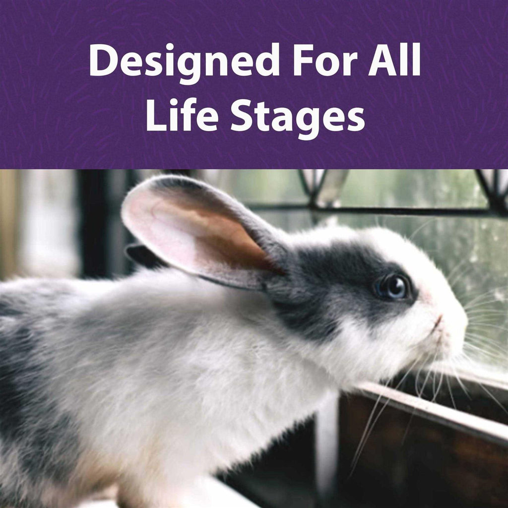 Timothy Based Rabbit Diet S6043