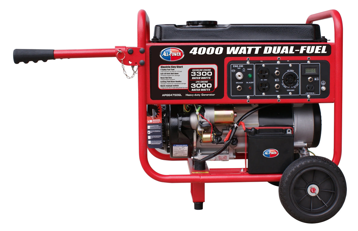 4000 Watt Dual Fuel Portable Generator S225973