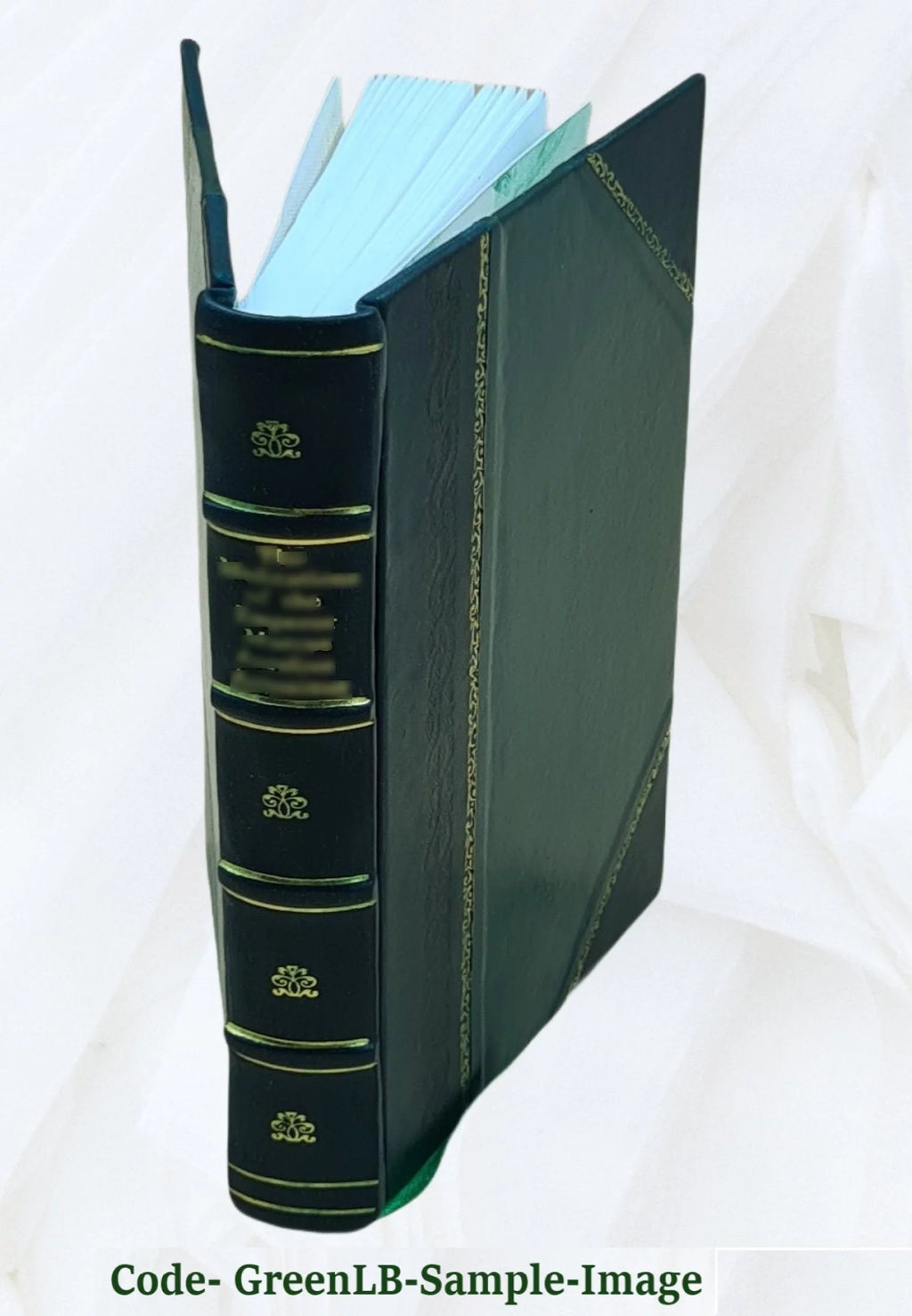 Hamburgs im neunzehnten Jahrhundert Leather Bound J2489