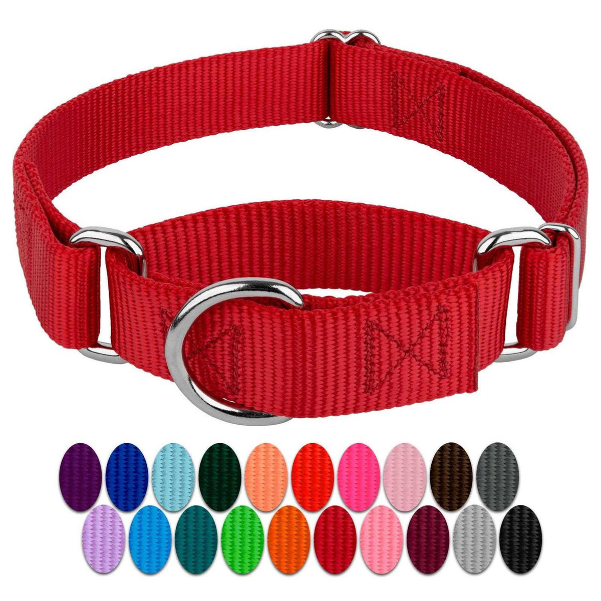 Nylon Martingale Dog Collar W5636