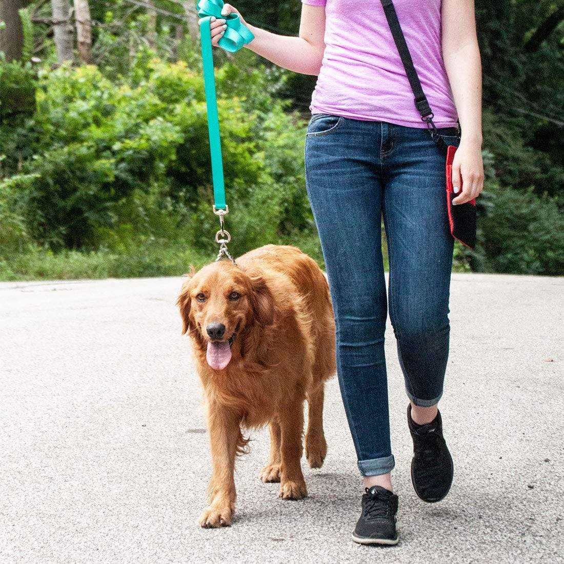 Dog Prong Training Collar S65583