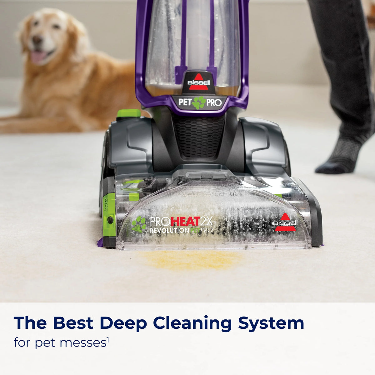 Full-Size Pet Carpet Cleaner F7845