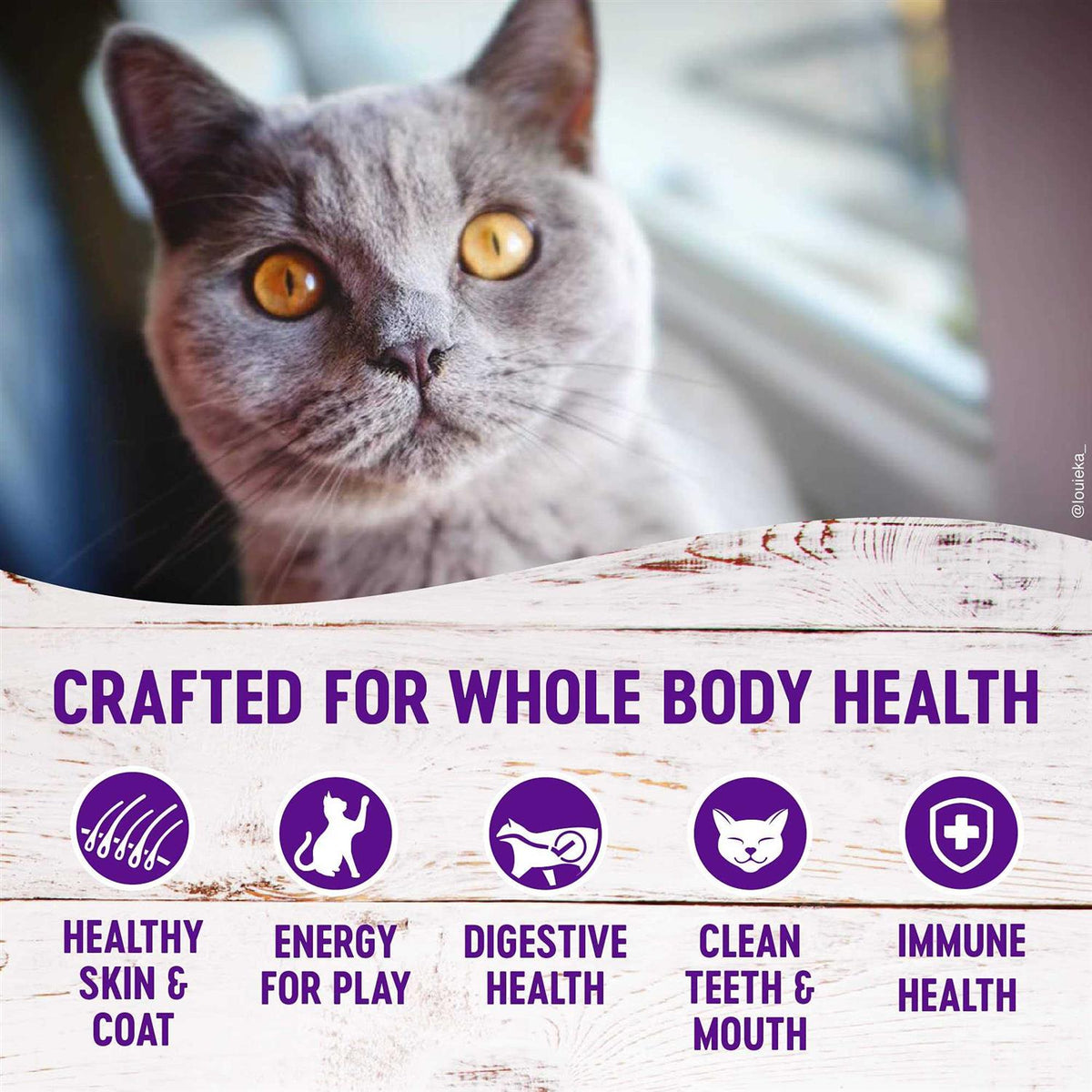 Grain-Free Deboned Chicken Dry Cat Food V8631